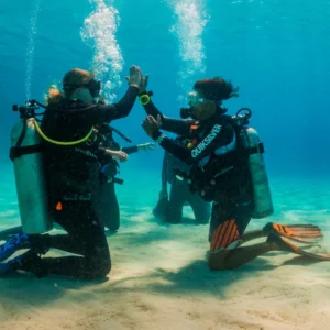 Learn to dive in 2 hours!