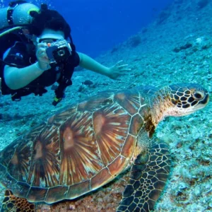Take your diving to the next level